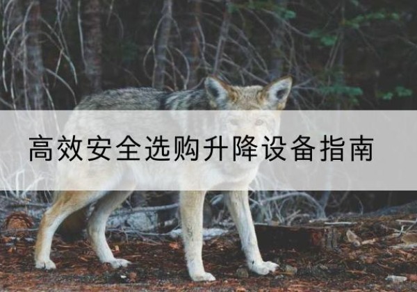 祁县升降货梯厂家推荐-*安全选购升降设备指南
