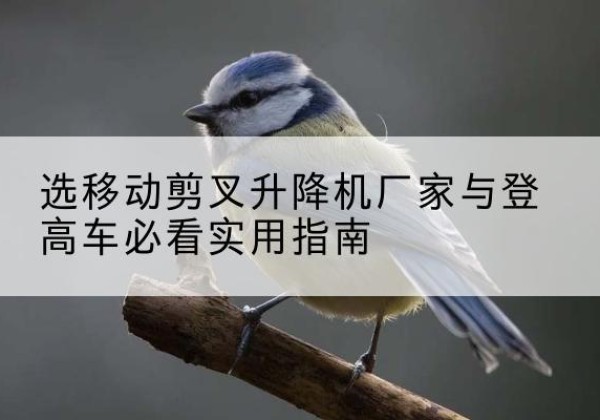 祁县电动升降机厂家-选移动剪叉升降机厂家与登高车必看实用指南